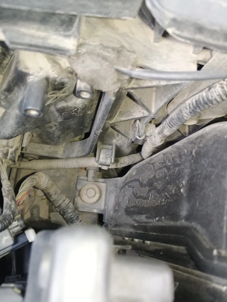 inspection-image