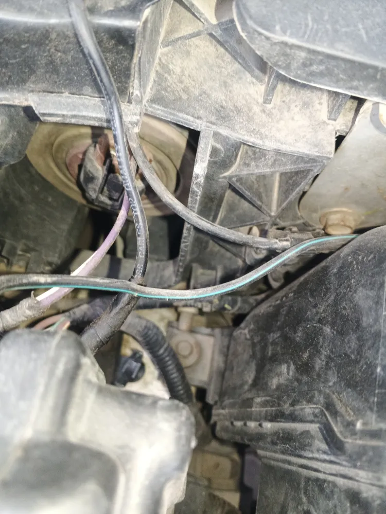inspection-image