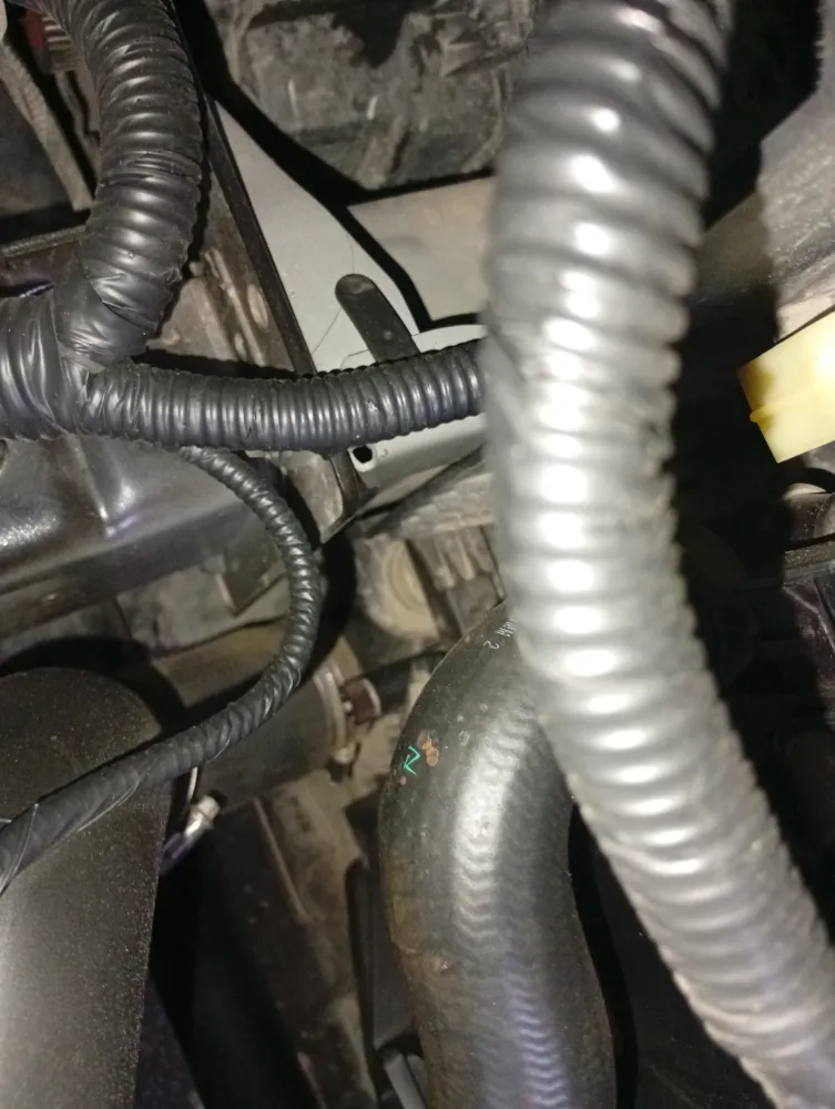 inspection-image