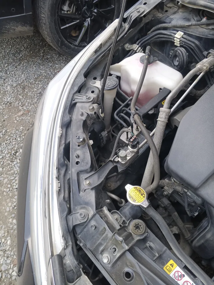 inspection-image