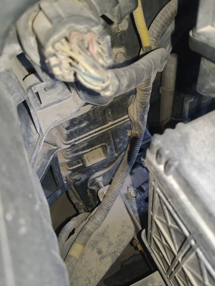 inspection-image