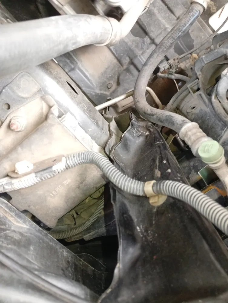 inspection-image