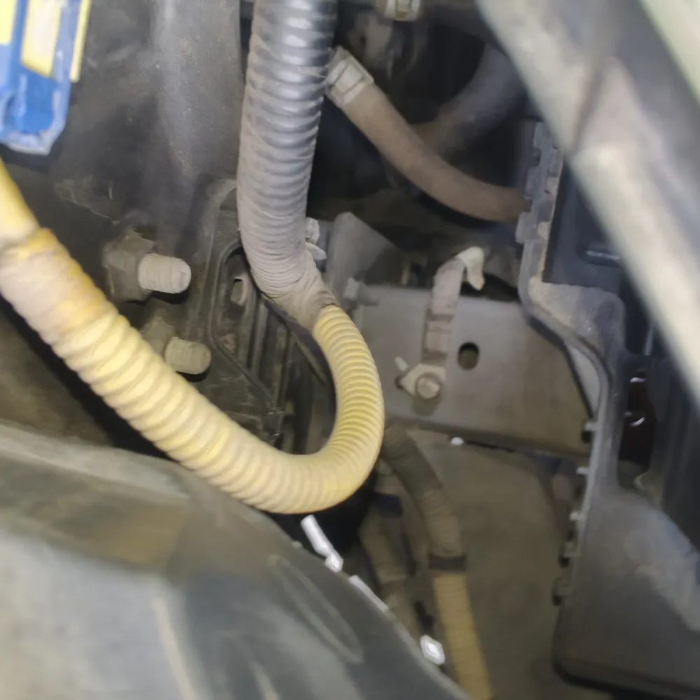 inspection-image