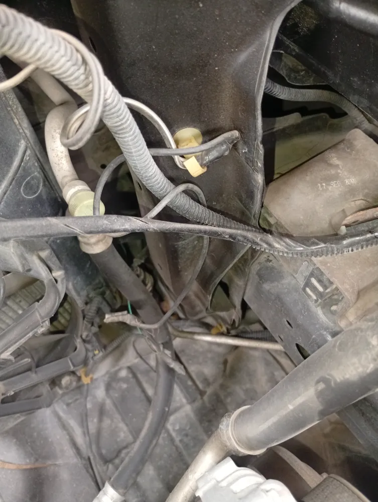 inspection-image
