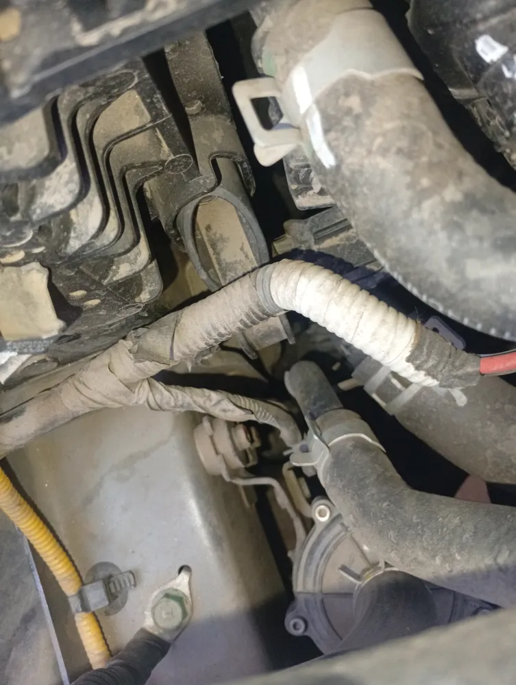 inspection-image