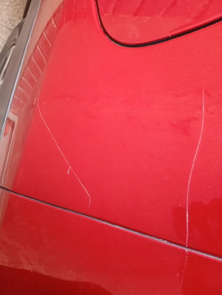 Rear_fender_back image