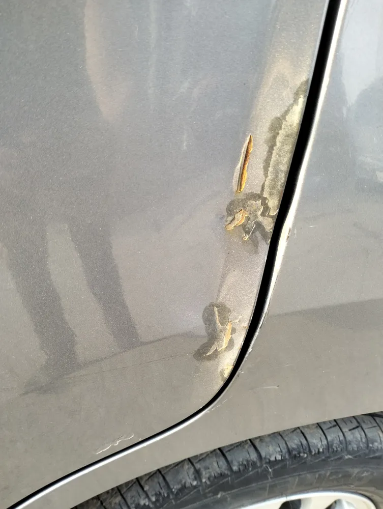 Rear_left_door image