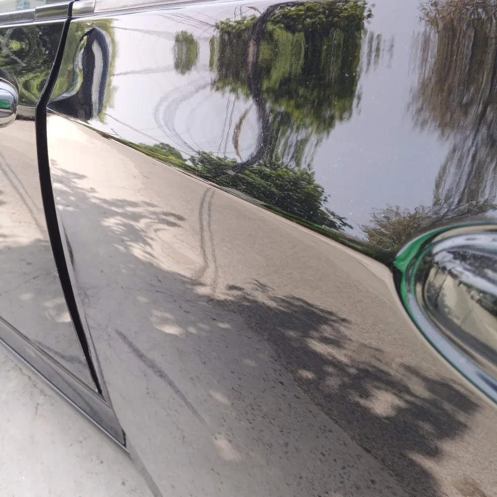 Rear_left_door image