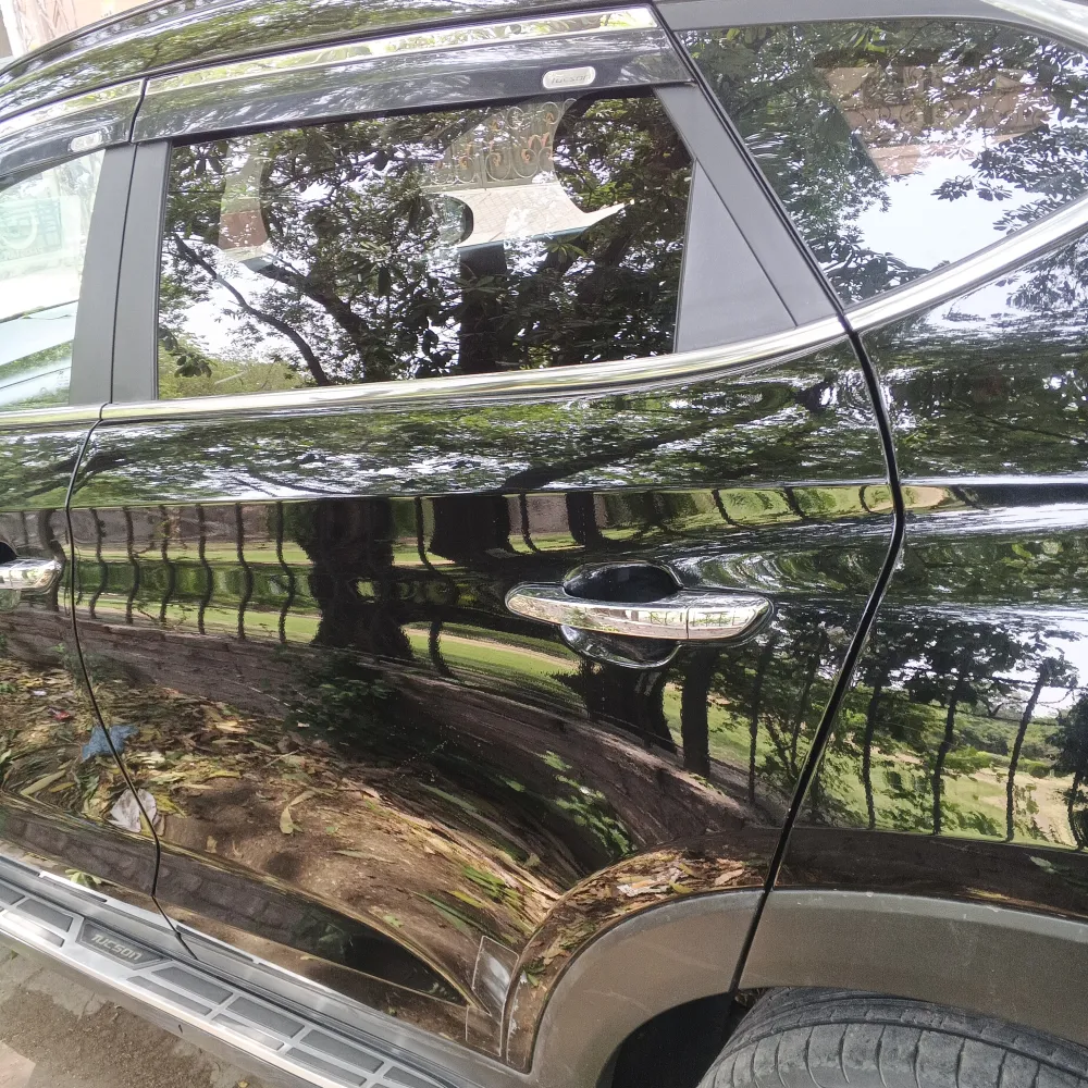 Rear_left_door image