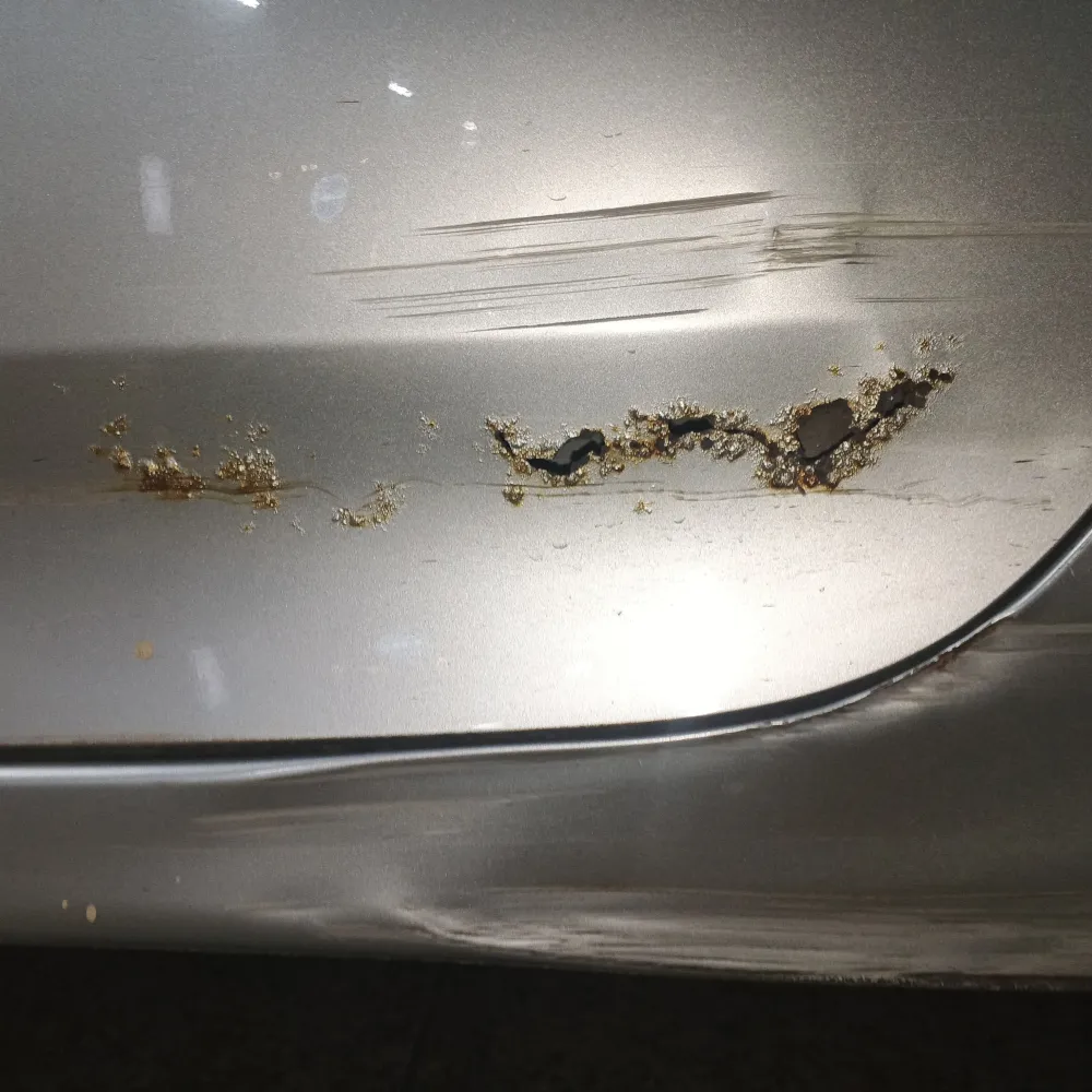 Rear_left_door image
