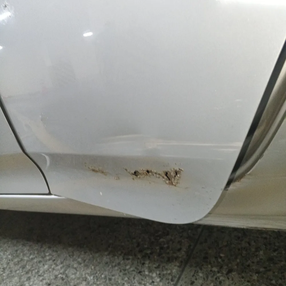 Rear_left_door image