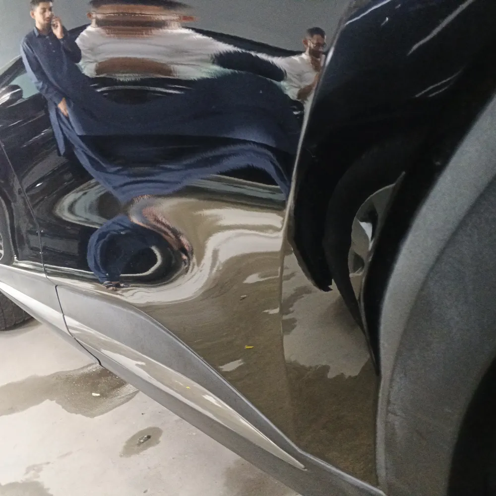 Rear_left_door image
