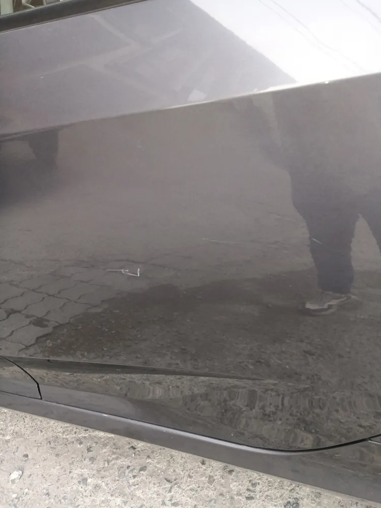 Rear_left_door image