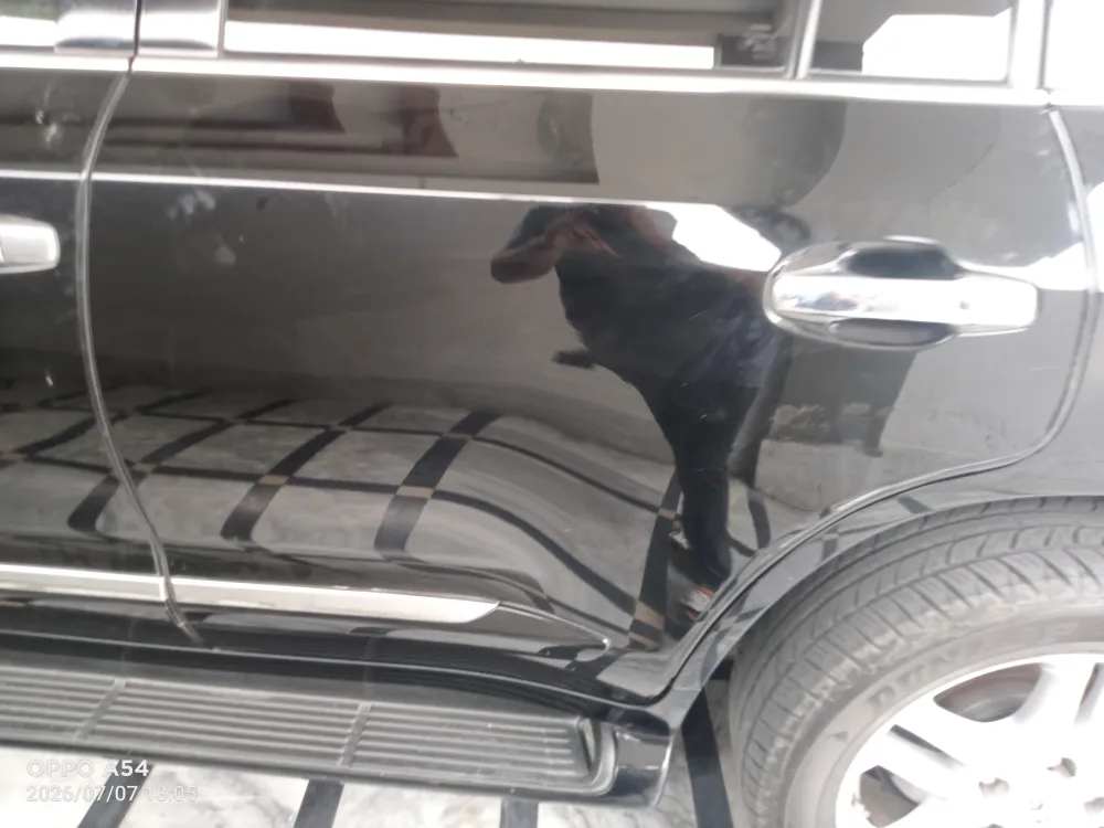 Rear_left_door image