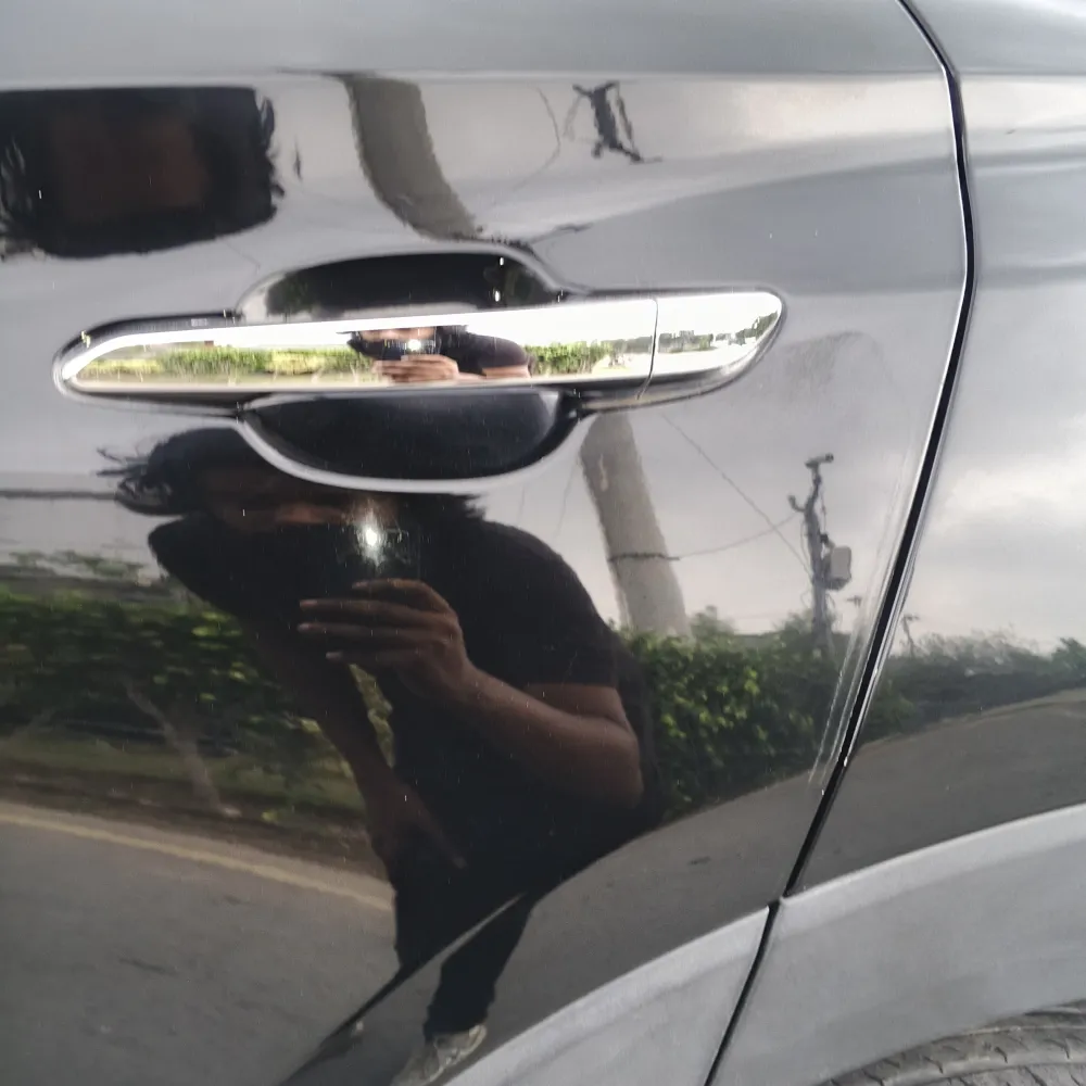 Rear_left_door image