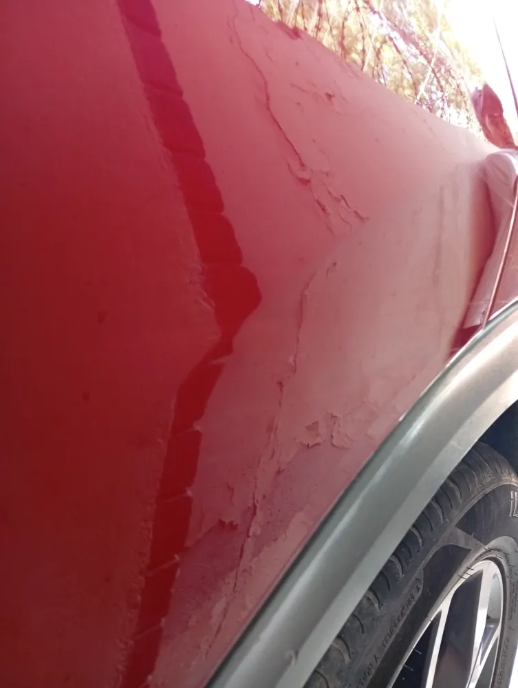 Rear_left_door image
