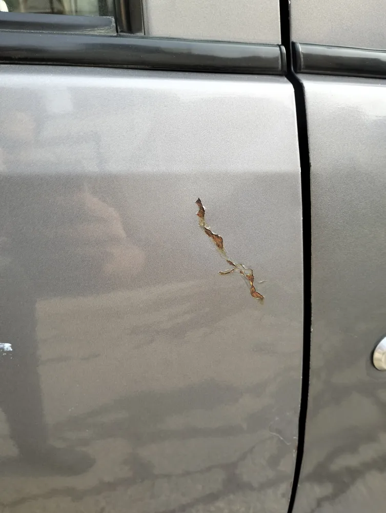 Rear_right_door image