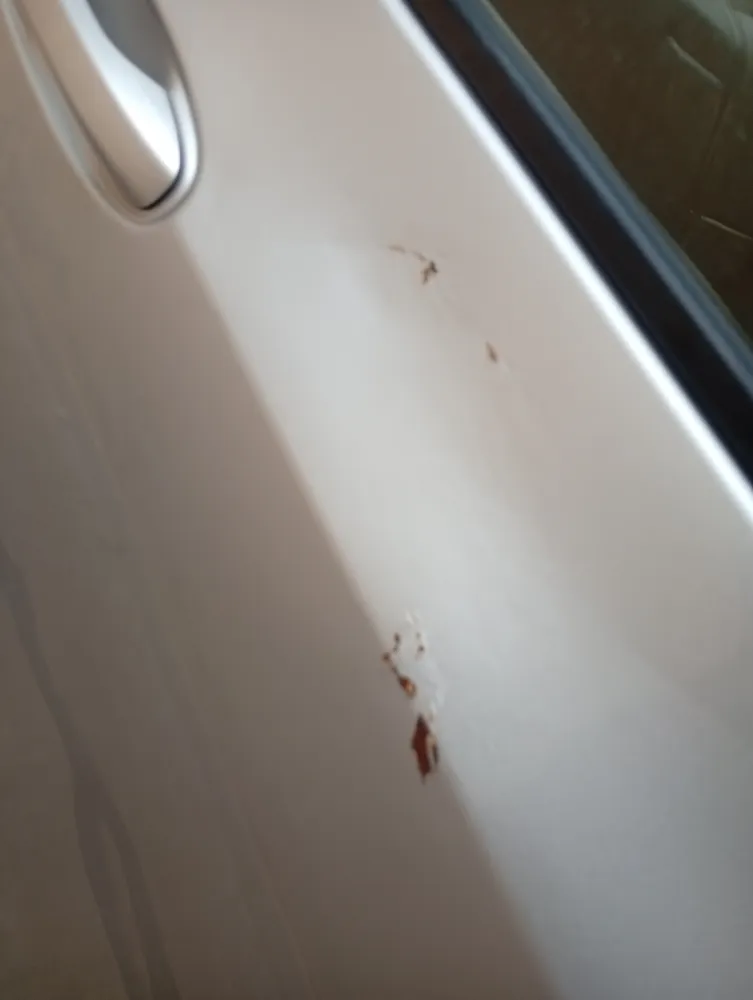 Rear_right_door image