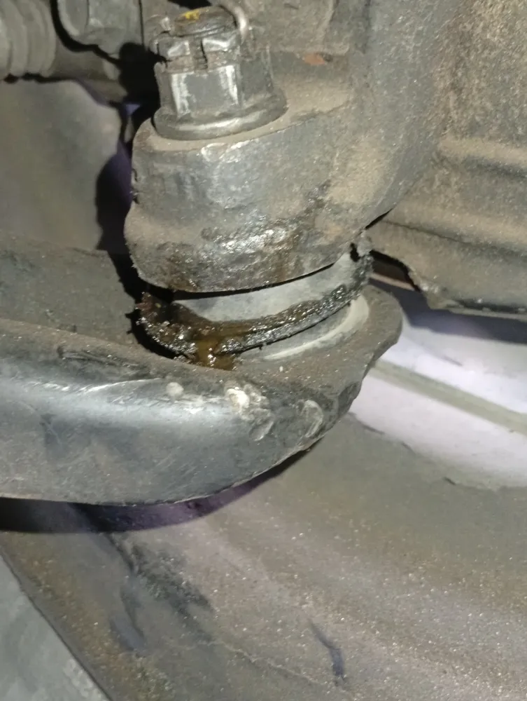 inspection-image