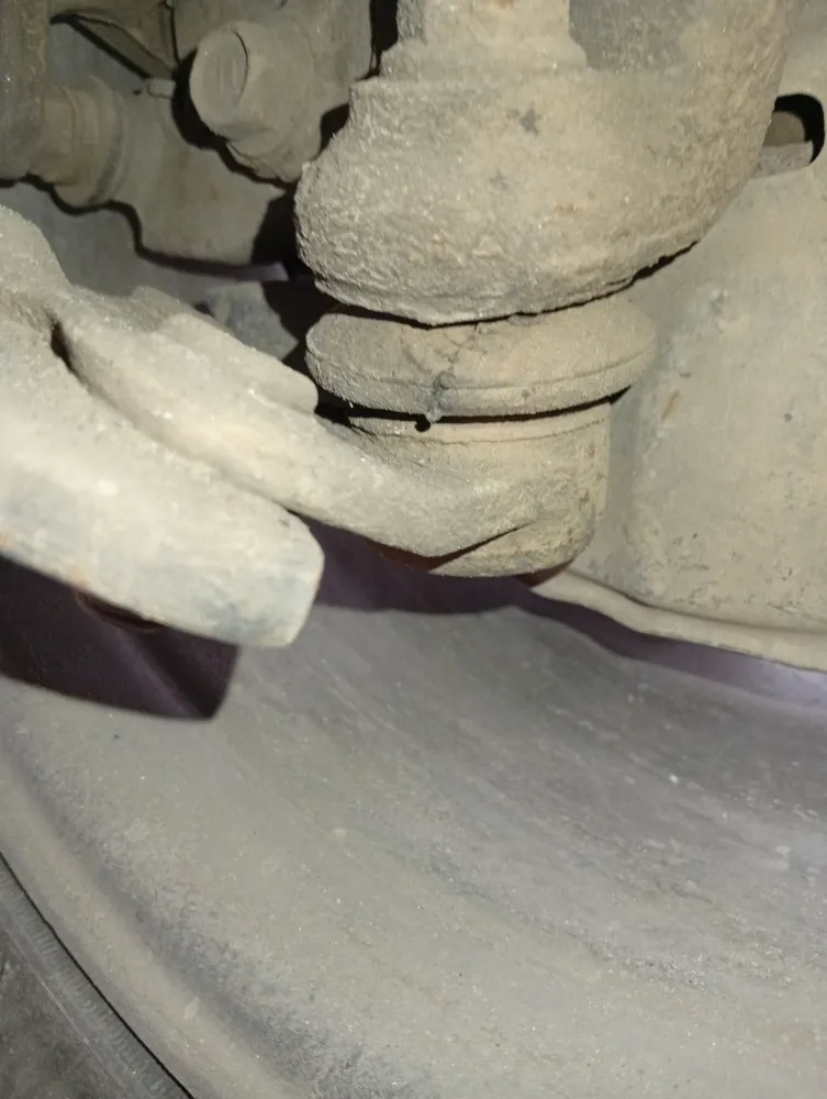 inspection-image