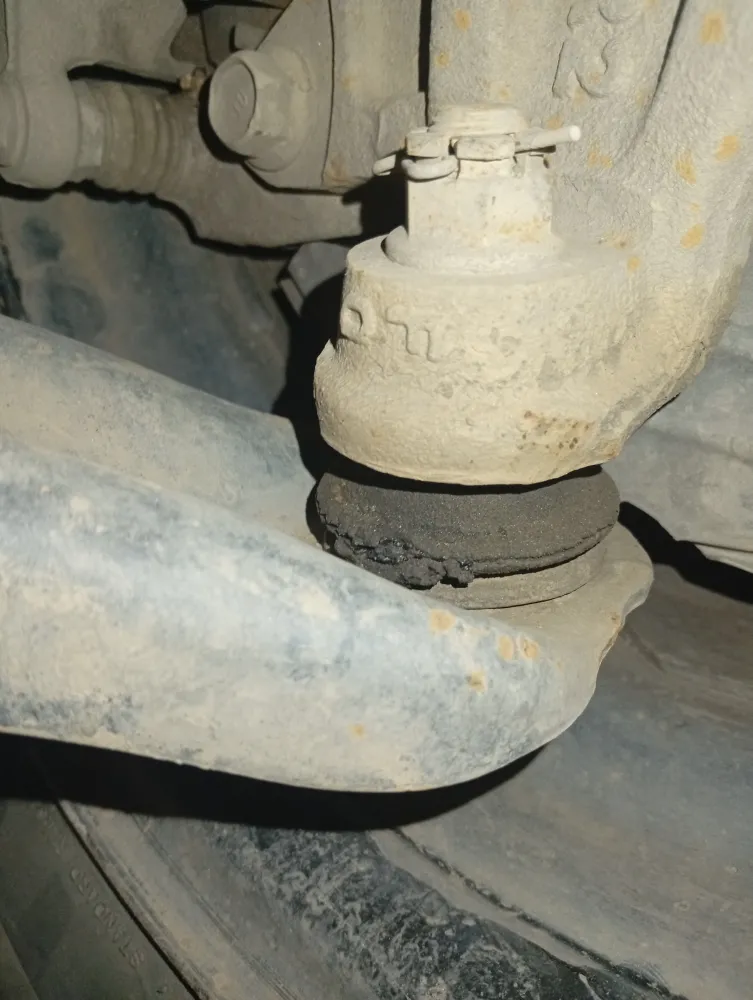 inspection-image