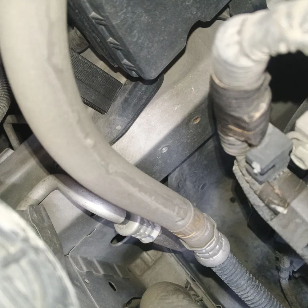 inspection-image