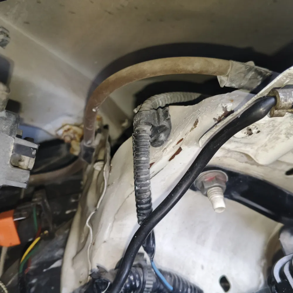 inspection-image