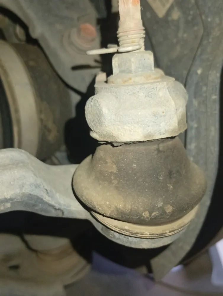 inspection-image
