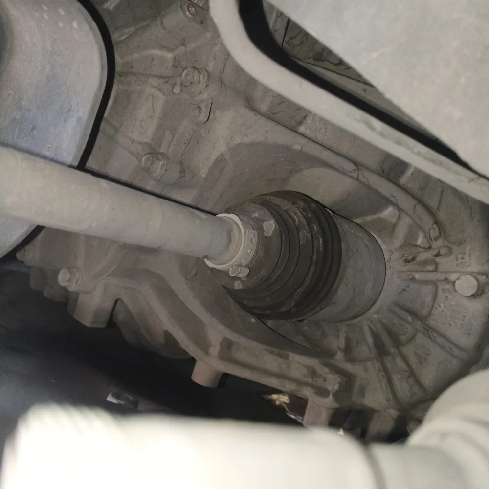 inspection-image