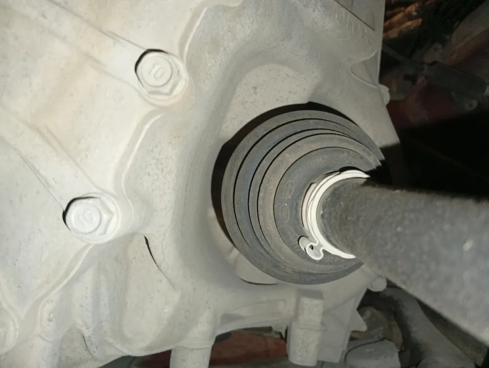 inspection-image
