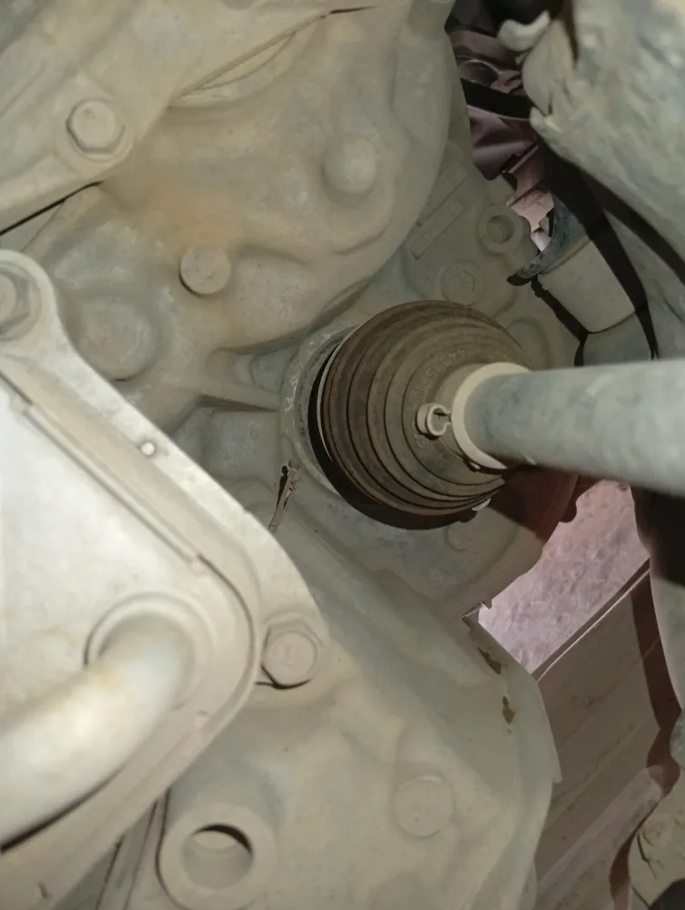 inspection-image