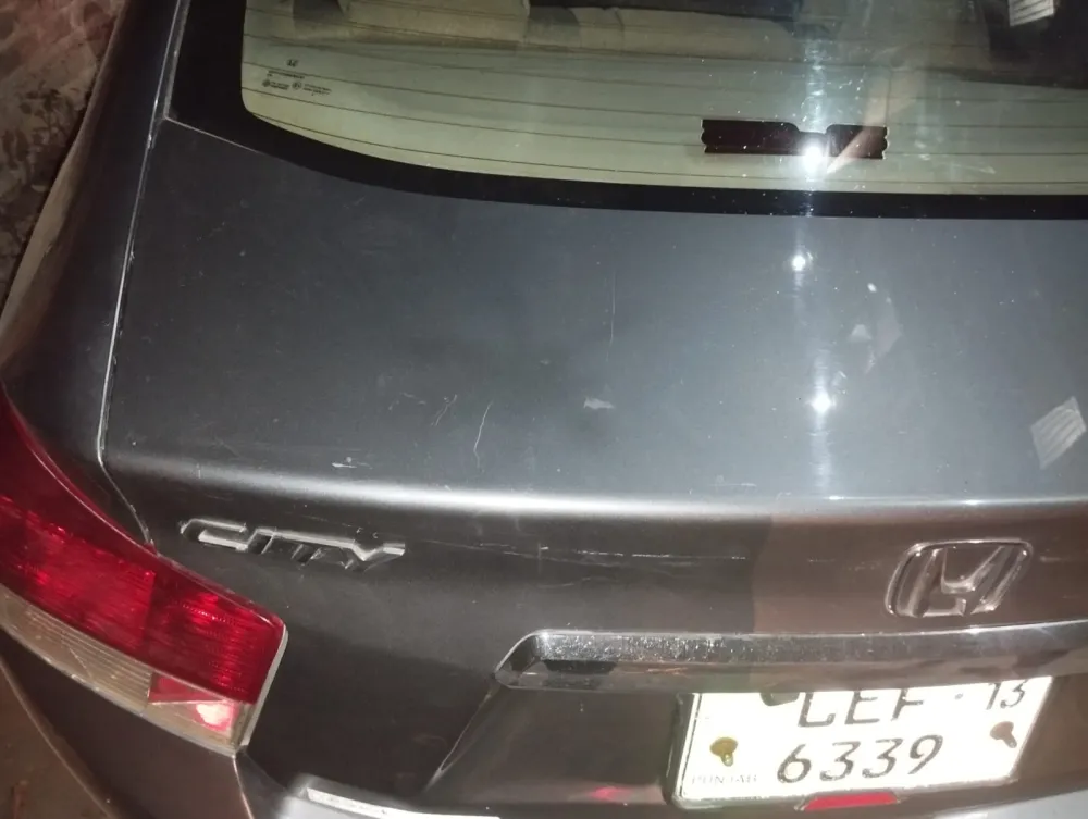 Trunk image