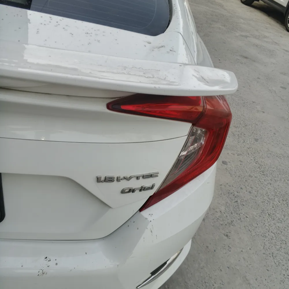Trunk image