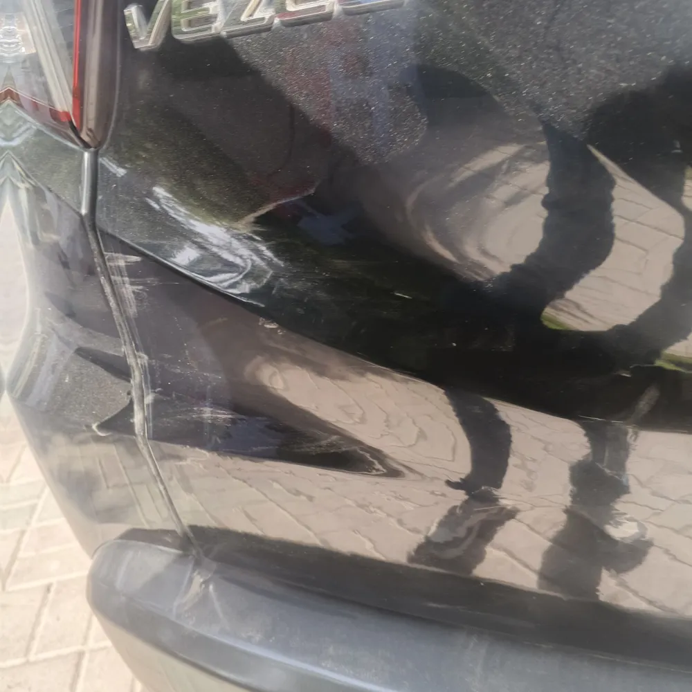 Trunk image