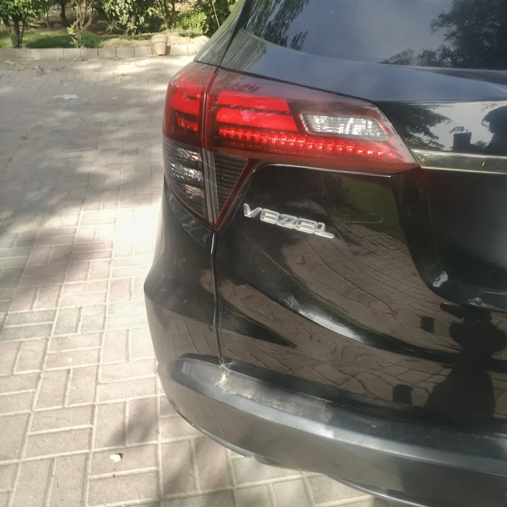 Trunk image