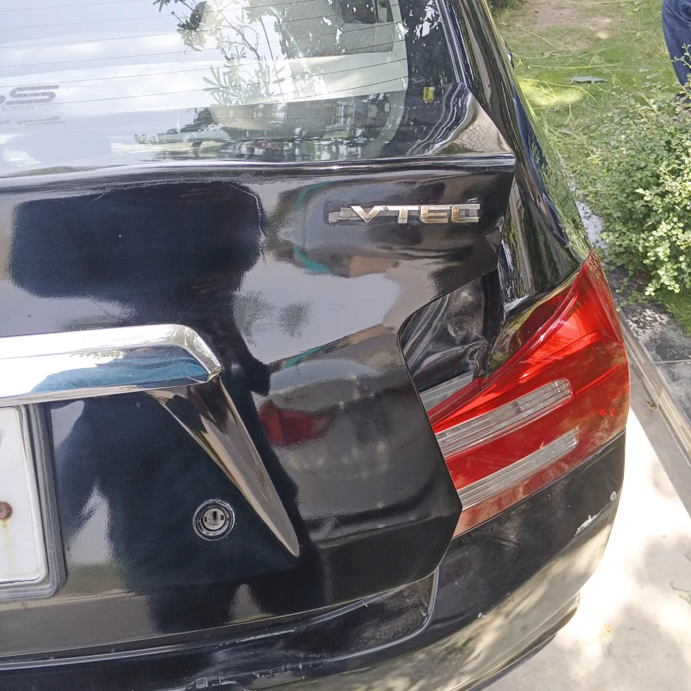 Trunk image