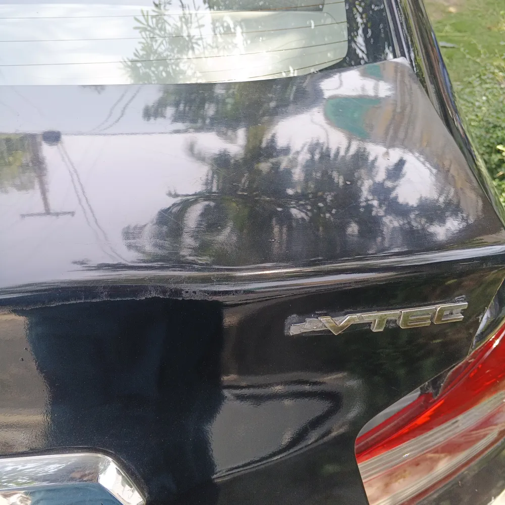 Trunk image