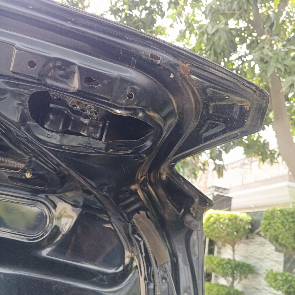 Trunk image