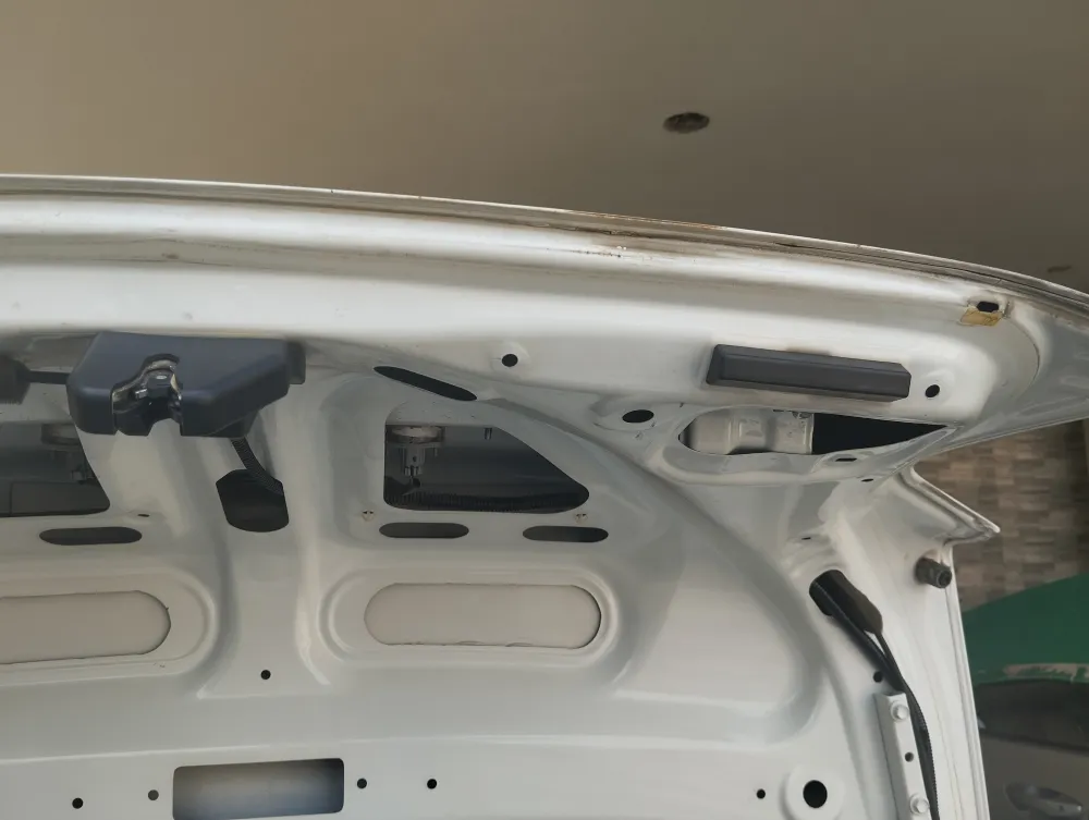Trunk