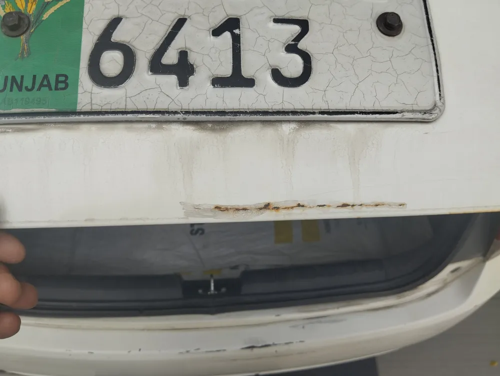 Trunk