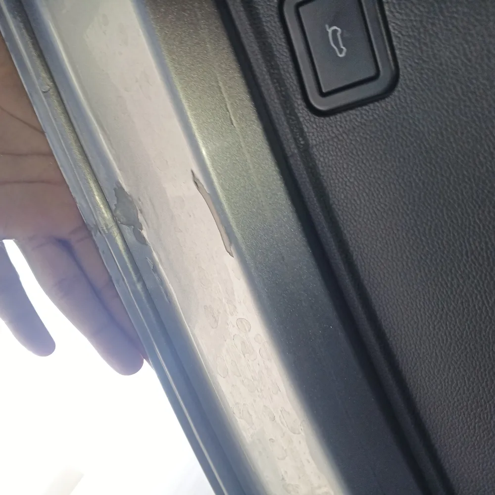 Trunk image