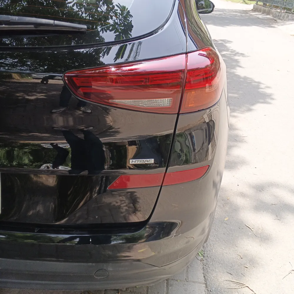 Trunk image