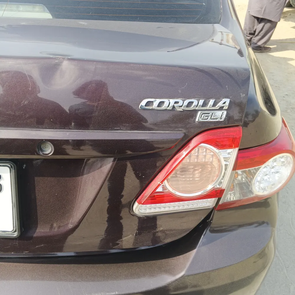 Trunk image