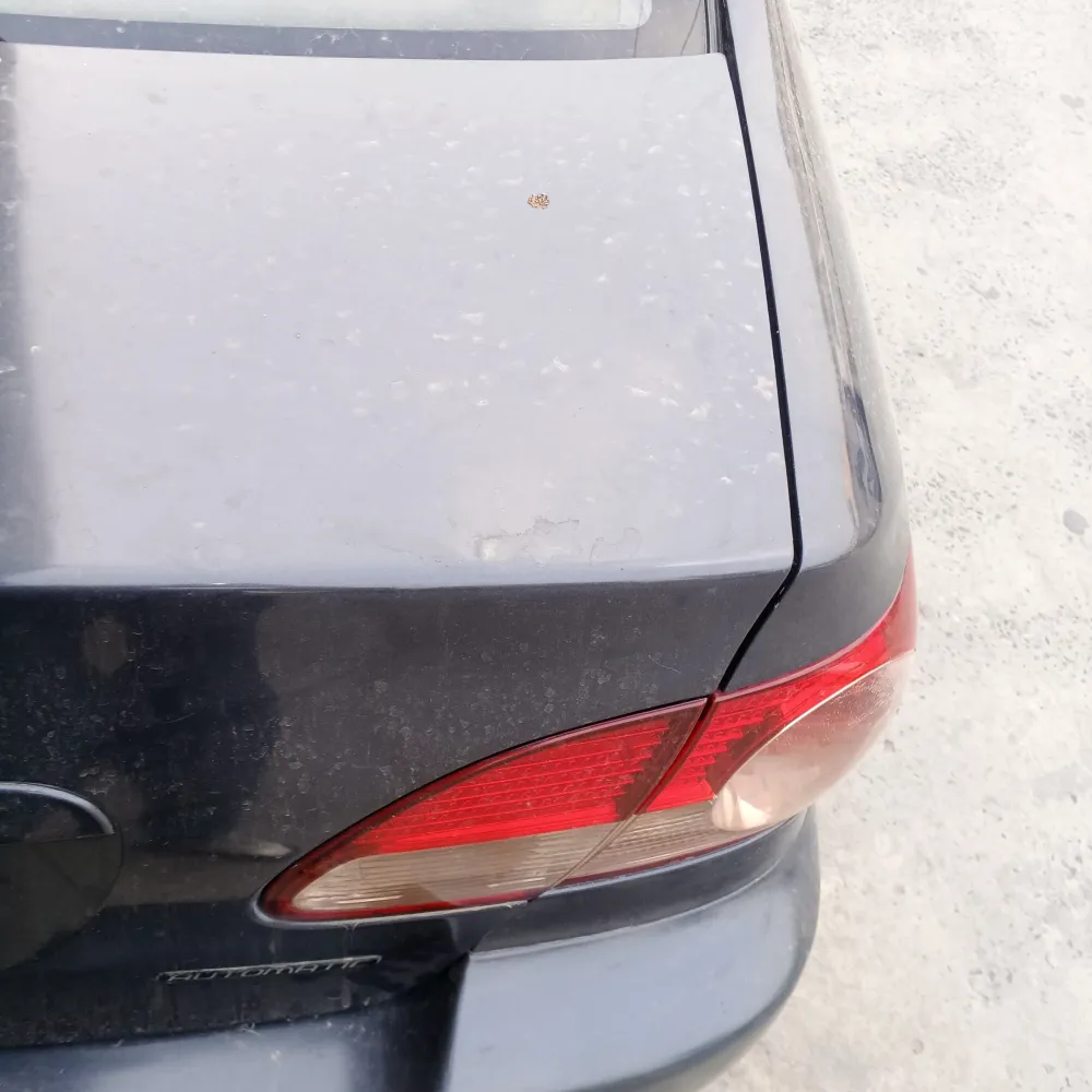 Trunk image