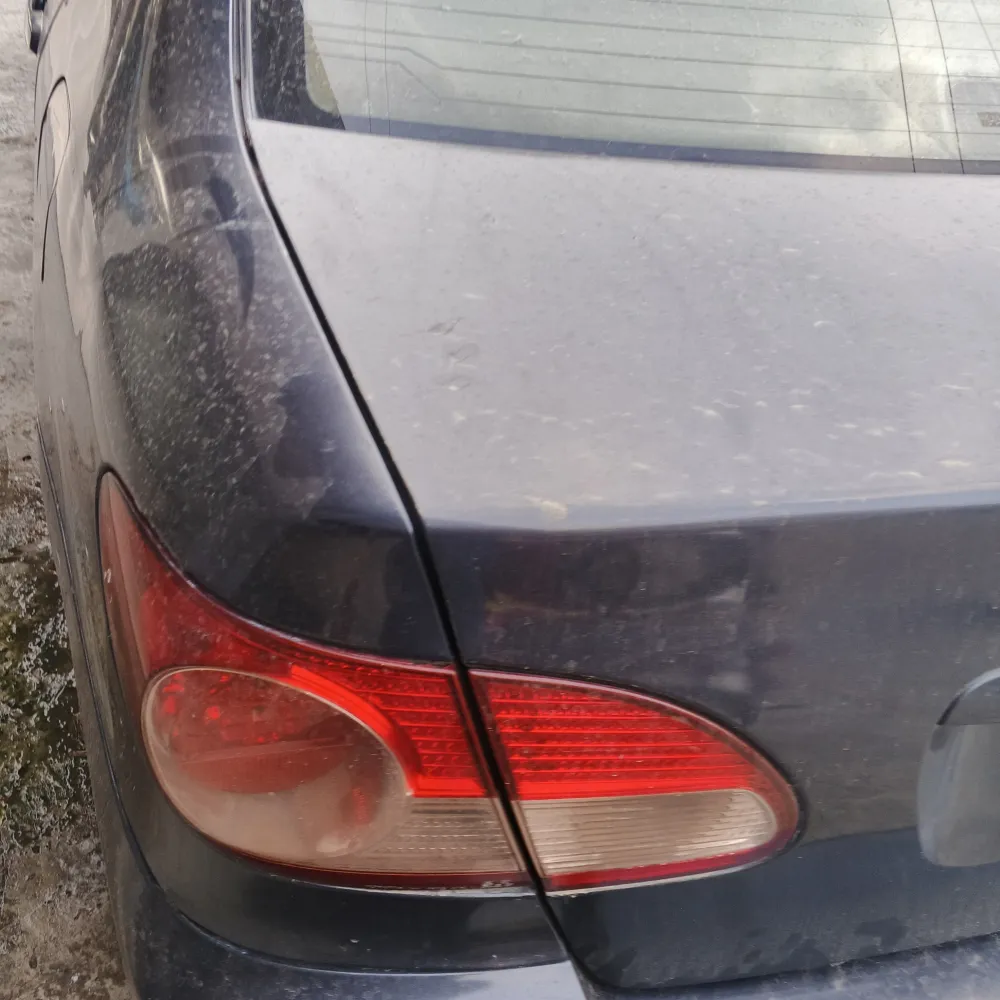 Trunk image