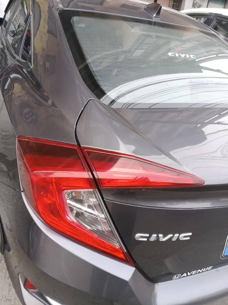 Trunk image