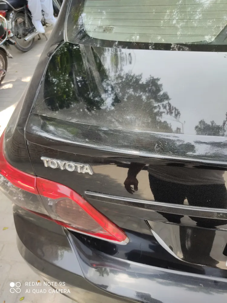 Trunk image
