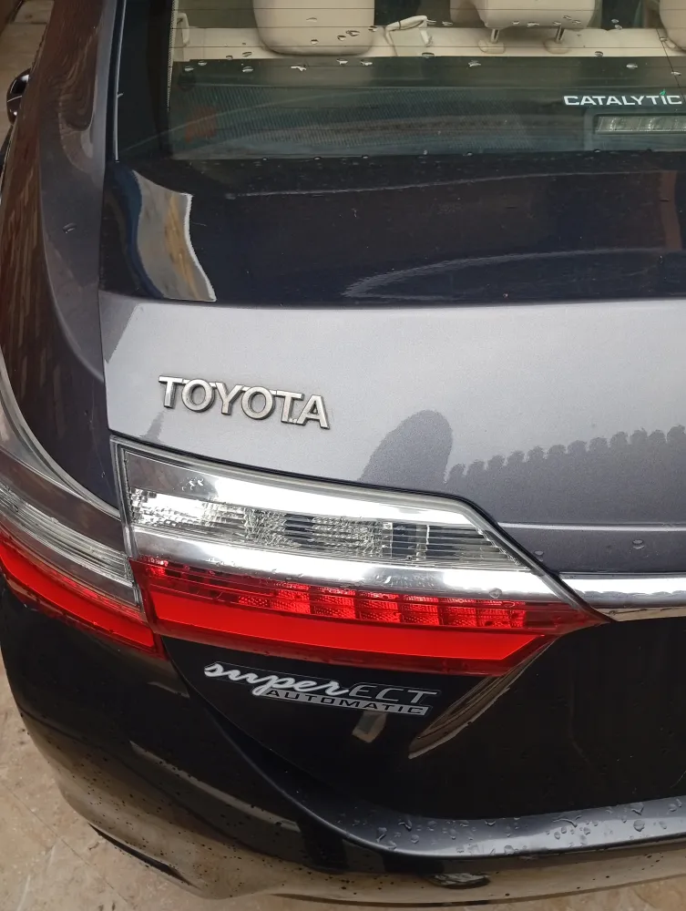 Trunk image