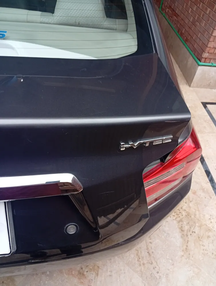 Trunk image