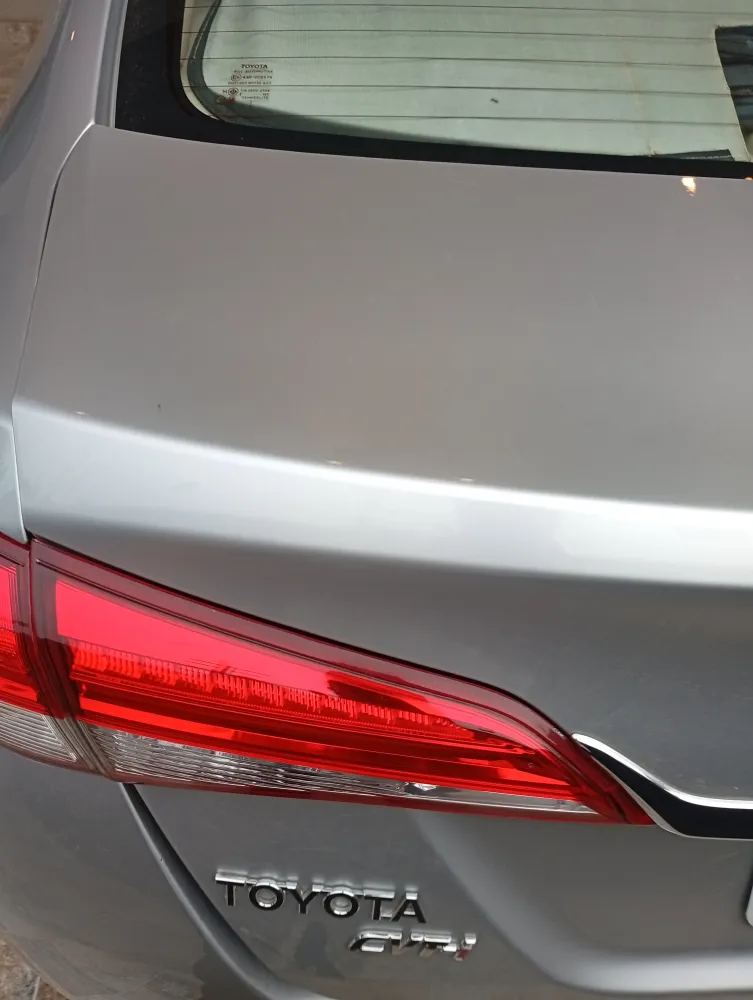 Trunk image
